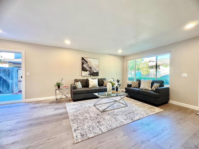 living room with light hardwood / wood-style floors