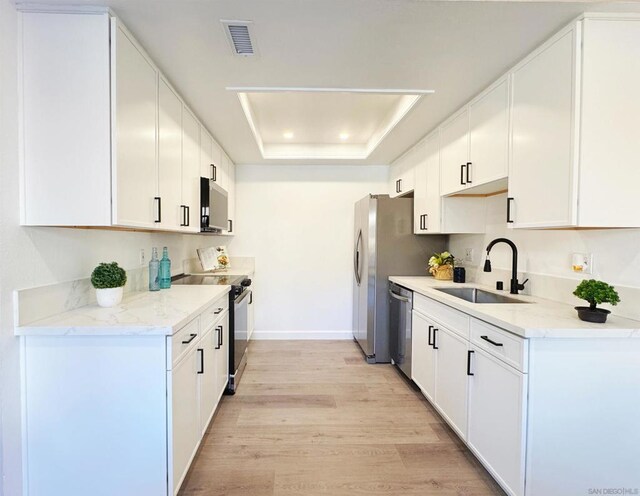 kitchen with white cabinets, sink, a tray ceiling, and stainless steel appliances