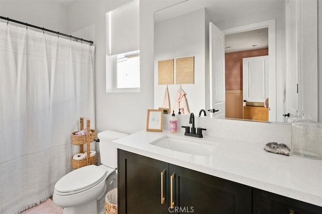 bathroom with toilet and vanity