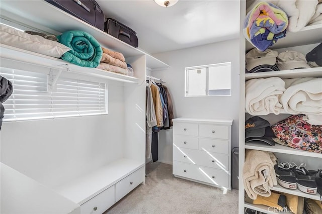 walk in closet featuring light carpet