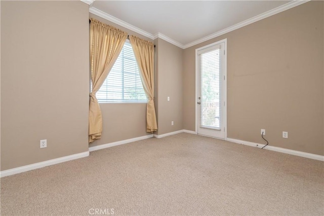 empty room featuring light carpet and ornamental molding