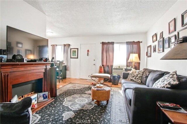 living room with a textured ceiling and light hardwood / wood-style flooring