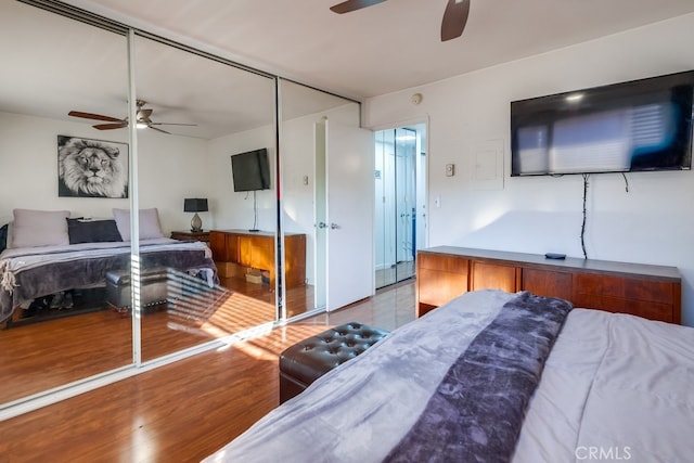 bedroom featuring ceiling fan, hardwood / wood-style floors, and a closet