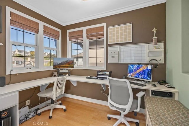 office with light wood-type flooring and crown molding