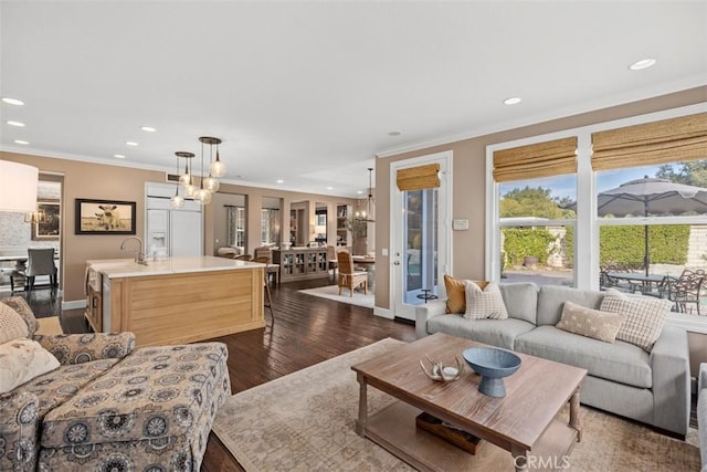 living room featuring dark hardwood / wood-style flooring and crown molding