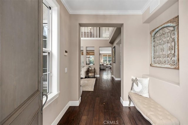 corridor featuring dark wood-type flooring, crown molding, and plenty of natural light