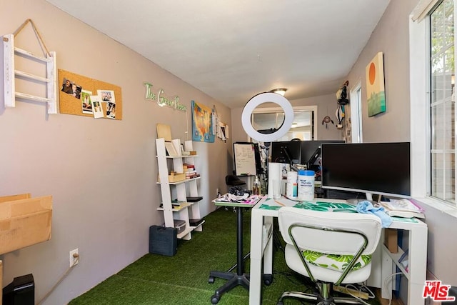 office space featuring carpet flooring