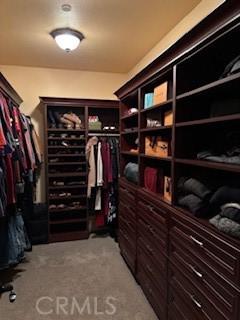 walk in closet featuring light carpet