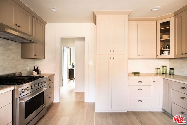 kitchen with light hardwood / wood-style floors, stainless steel stove, and decorative backsplash