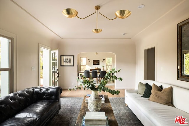 living room with wood-type flooring and plenty of natural light