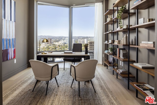 office featuring a mountain view, light hardwood / wood-style floors, and plenty of natural light