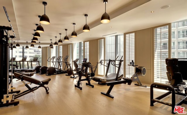 exercise room with light hardwood / wood-style flooring