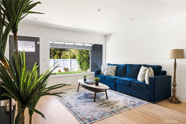 living room with hardwood / wood-style flooring