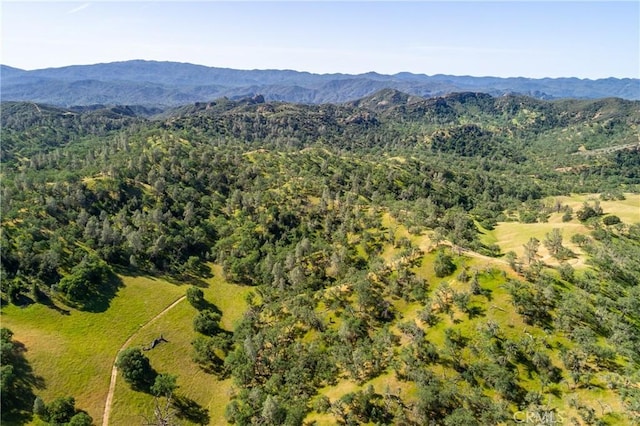 birds eye view of property with a mountain view