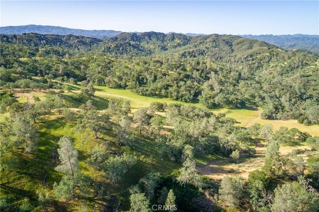 drone / aerial view featuring a mountain view