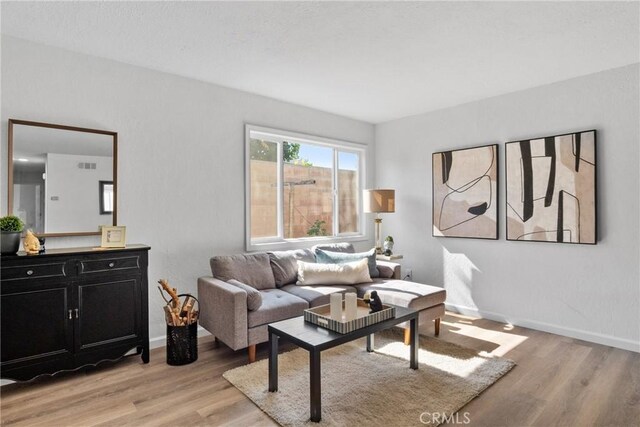 living room with light hardwood / wood-style floors