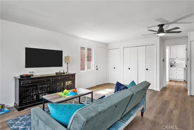 living room featuring ceiling fan and wood-type flooring