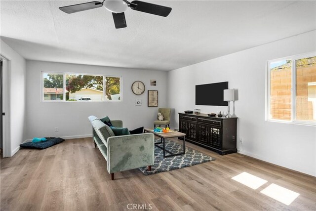 living room featuring ceiling fan and light hardwood / wood-style floors