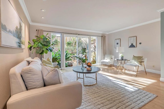 living room featuring crown molding and light hardwood / wood-style flooring