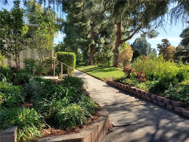 view of home's community featuring a yard