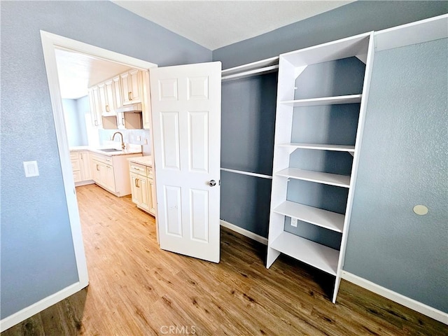 closet with sink