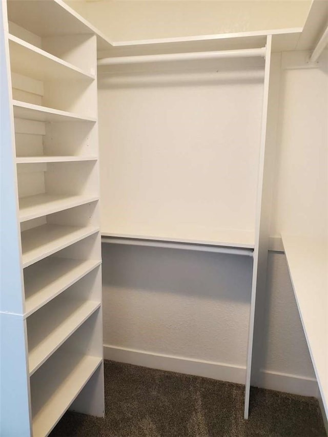 spacious closet featuring carpet flooring