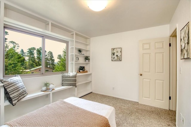 bedroom with light colored carpet