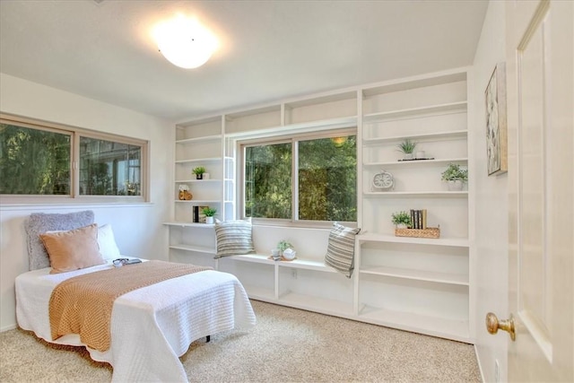 bedroom with carpet flooring