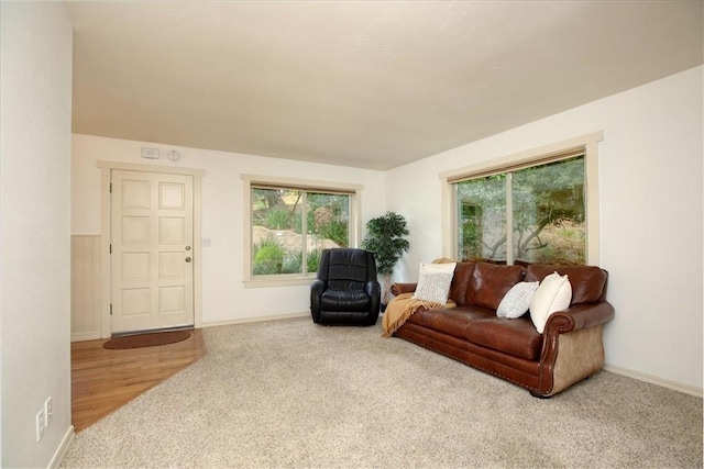 living room featuring carpet and a healthy amount of sunlight