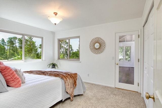 carpeted bedroom featuring a closet