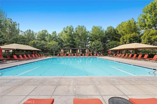 view of pool featuring a patio area