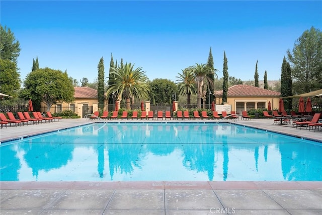 view of swimming pool with a patio