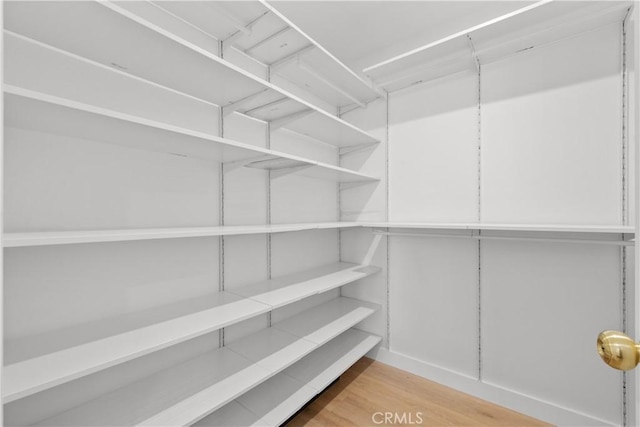 spacious closet with wood-type flooring