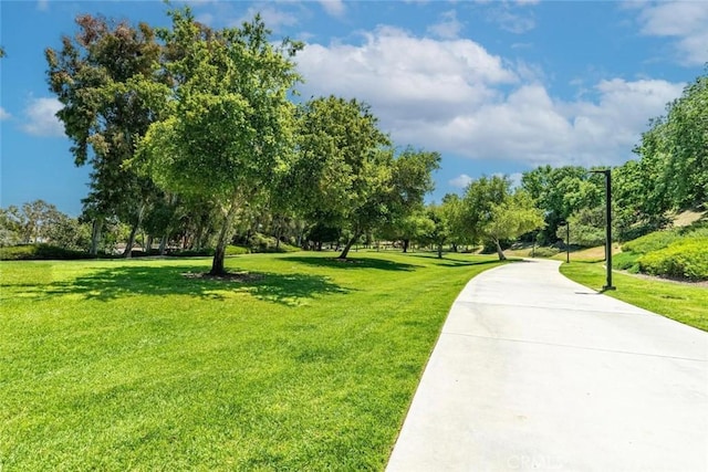 view of property's community with a yard