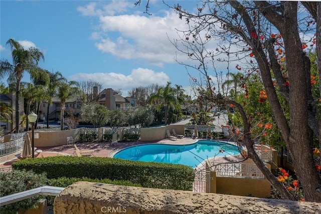 view of pool with a patio