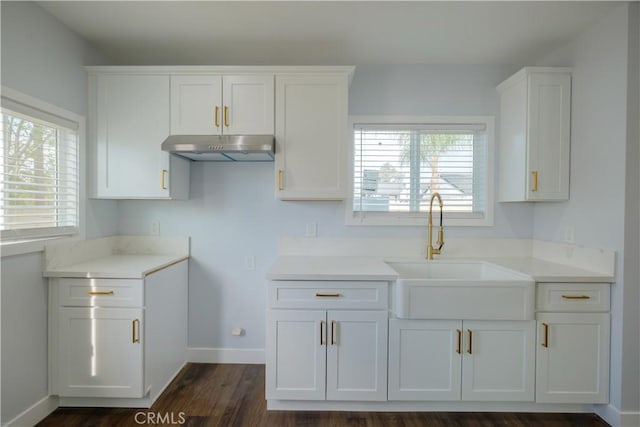 kitchen featuring white cabinets and sink