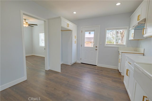 clothes washing area featuring ceiling fan and dark hardwood / wood-style flooring