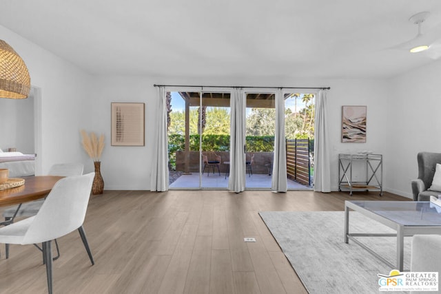 living room featuring light hardwood / wood-style flooring