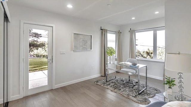 office area featuring hardwood / wood-style flooring and plenty of natural light