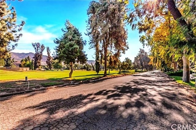 view of property's community featuring a mountain view