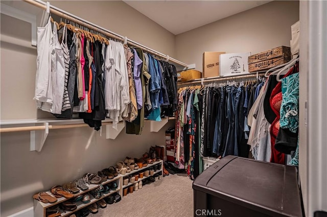 spacious closet featuring carpet flooring