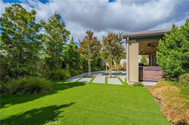 view of yard featuring ceiling fan, a patio area, and a hot tub