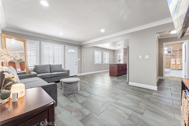 living room with crown molding