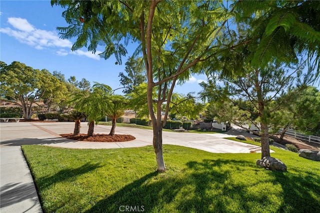 view of community featuring a lawn