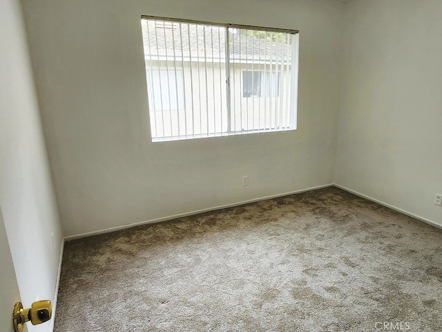 spare room with carpet flooring