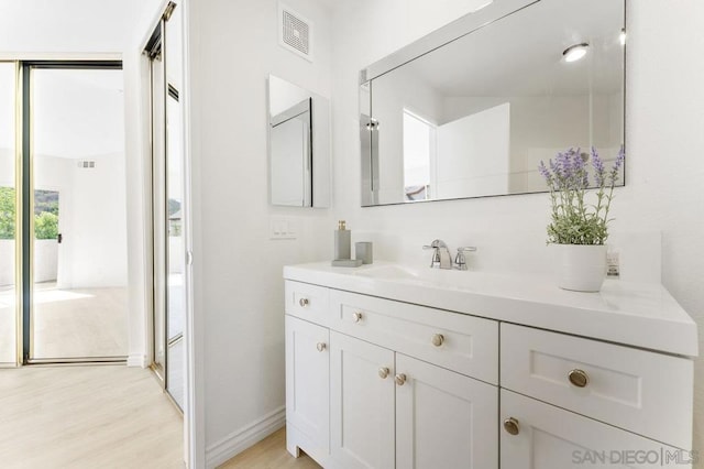 bathroom featuring wood-type flooring and vanity