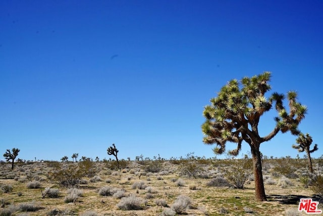 0 Yucca Mesa Rd, Yucca Valley CA, 92284 land for sale