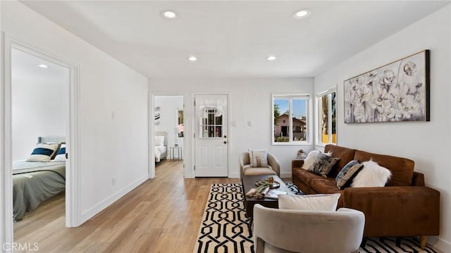 living room featuring light hardwood / wood-style flooring