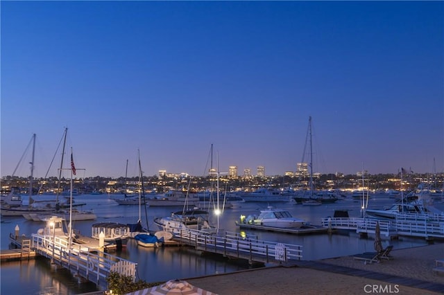 dock area with a water view