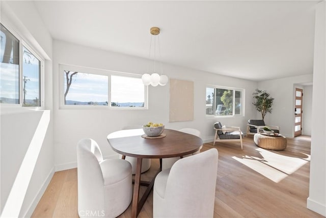 dining space with light wood-type flooring and a healthy amount of sunlight